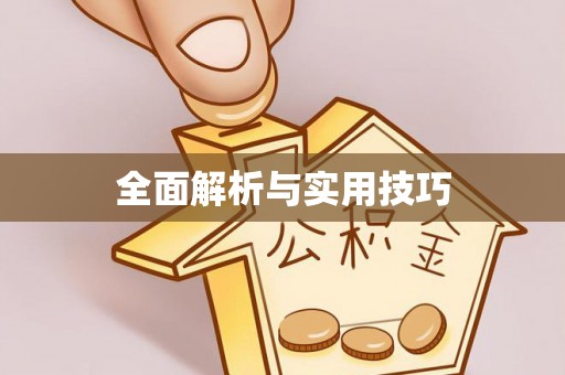 阜阳全面解析与实用技巧