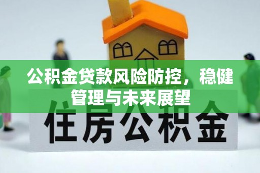 阜阳公积金贷款风险防控，稳健管理与未来展望