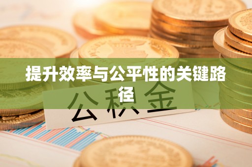 阜阳提升效率与公平性的关键路径