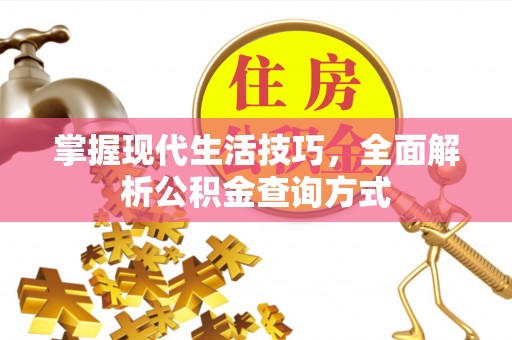 阜阳掌握现代生活技巧，全面解析公积金查询方式
