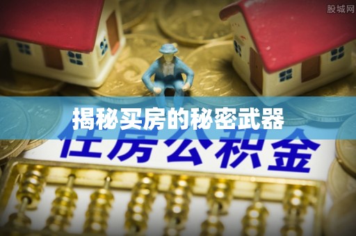 阜阳揭秘买房的秘密武器