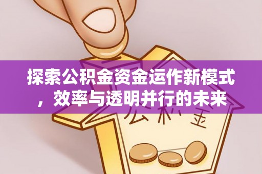阜阳探索公积金资金运作新模式，效率与透明并行的未来