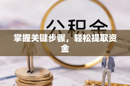 阜阳掌握关键步骤，轻松提取资金