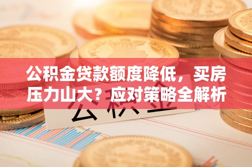 阜阳公积金贷款额度降低，买房压力山大？应对策略全解析