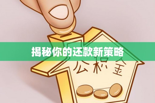 阜阳揭秘你的还款新策略