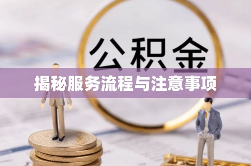 阜阳揭秘服务流程与注意事项