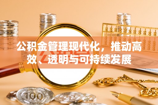 阜阳公积金管理现代化，推动高效、透明与可持续发展