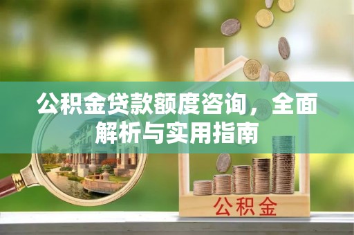 阜阳公积金贷款额度咨询，全面解析与实用指南