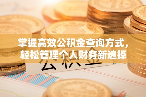 阜阳掌握高效公积金查询方式，轻松管理个人财务新选择