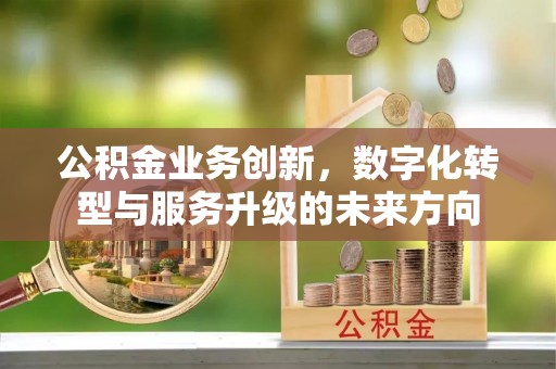 阜阳公积金业务创新，数字化转型与服务升级的未来方向