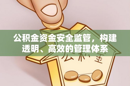 阜阳公积金资金安全监管，构建透明、高效的管理体系