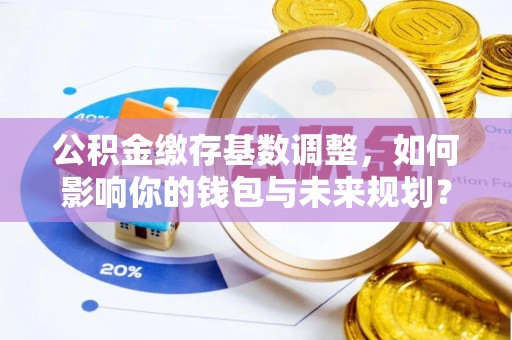 阜阳公积金缴存基数调整，如何影响你的钱包与未来规划？