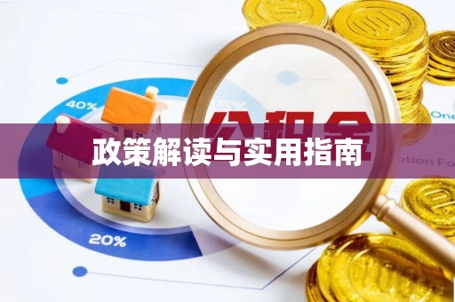 阜阳政策解读与实用指南