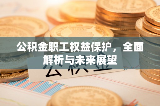 阜阳公积金职工权益保护，全面解析与未来展望