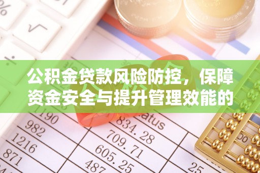 阜阳公积金贷款风险防控，保障资金安全与提升管理效能的多维度探索