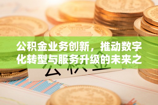 阜阳公积金业务创新，推动数字化转型与服务升级的未来之路