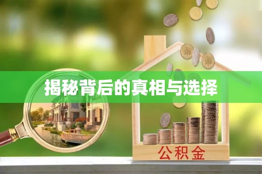 阜阳揭秘背后的真相与选择