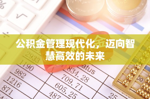 阜阳公积金管理现代化，迈向智慧高效的未来