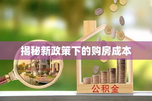 阜阳揭秘新政策下的购房成本