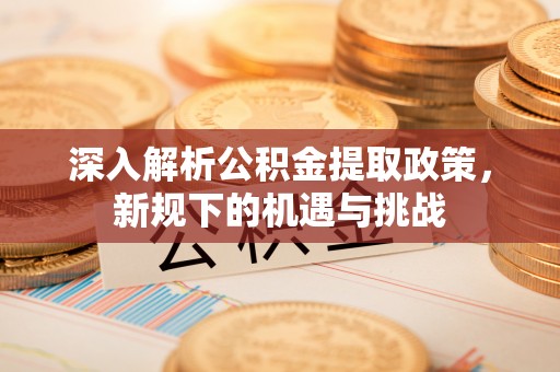阜阳深入解析公积金提取政策，新规下的机遇与挑战