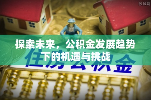 阜阳探索未来，公积金发展趋势下的机遇与挑战