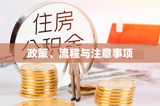 阜阳政策、流程与注意事项