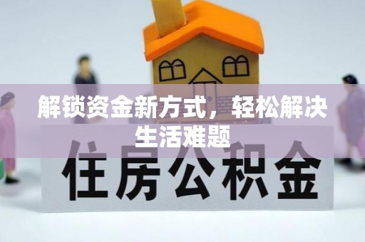阜阳解锁资金新方式，轻松解决生活难题