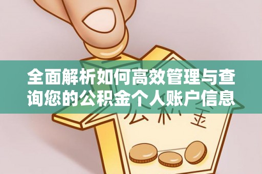阜阳全面解析如何高效管理与查询您的公积金个人账户信息