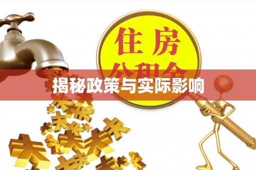 阜阳揭秘政策与实际影响
