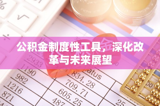 阜阳公积金制度性工具，深化改革与未来展望