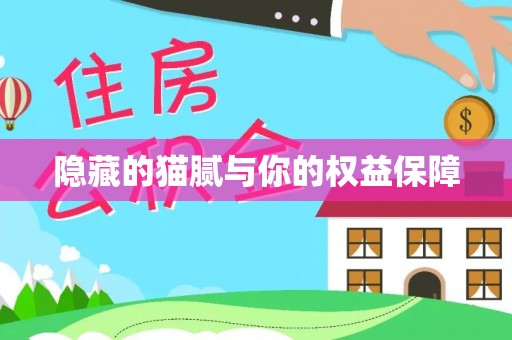 阜阳隐藏的猫腻与你的权益保障