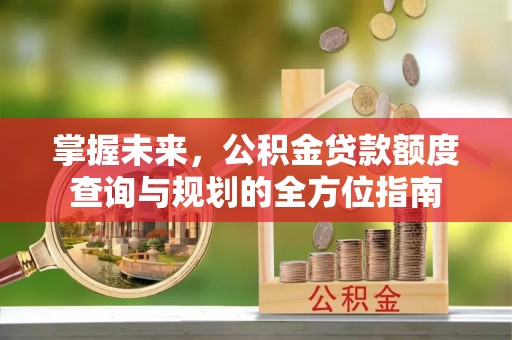 阜阳掌握未来，公积金贷款额度查询与规划的全方位指南