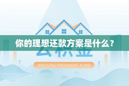 阜阳你的理想还款方案是什么？