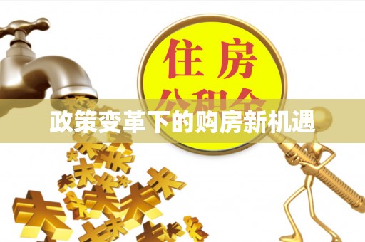 阜阳政策变革下的购房新机遇