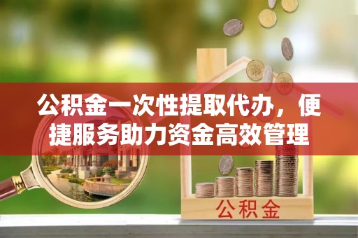 阜阳公积金一次性提取代办，便捷服务助力资金高效管理