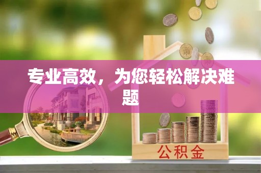阜阳专业高效，为您轻松解决难题