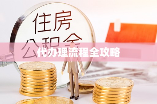 阜阳代办理流程全攻略