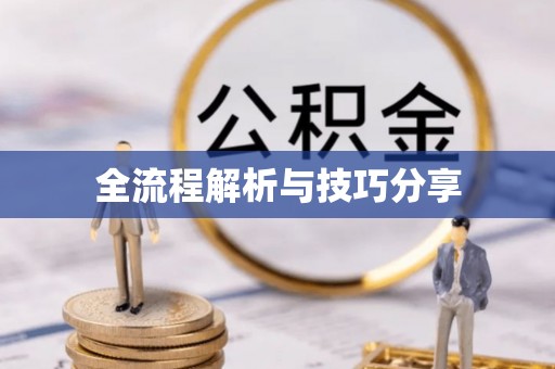 阜阳全流程解析与技巧分享