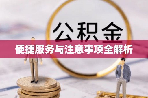 阜阳便捷服务与注意事项全解析