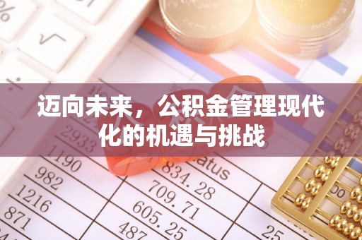 阜阳迈向未来，公积金管理现代化的机遇与挑战