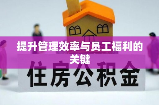 阜阳提升管理效率与员工福利的关键