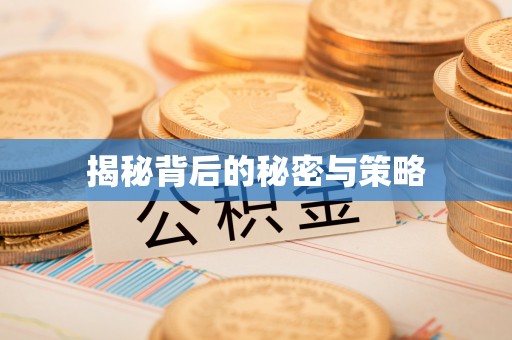 阜阳揭秘背后的秘密与策略
