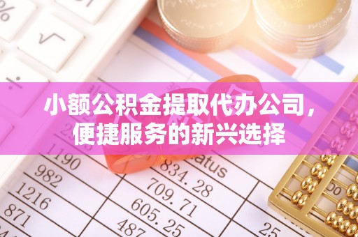 阜阳小额公积金提取代办公司，便捷服务的新兴选择