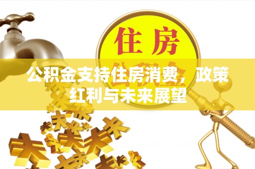 阜阳公积金支持住房消费，政策红利与未来展望