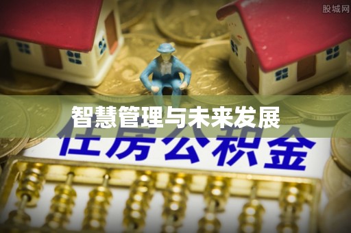 阜阳智慧管理与未来发展
