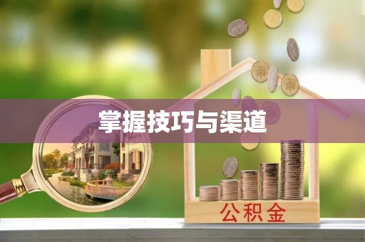 阜阳掌握技巧与渠道