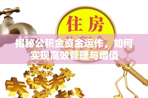 阜阳揭秘公积金资金运作，如何实现高效管理与增值