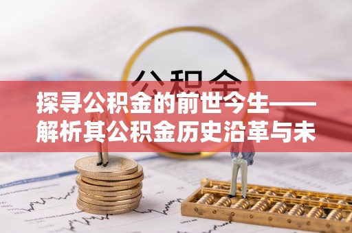 阜阳探寻公积金的前世今生——解析其公积金历史沿革与未来方向