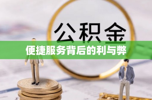 阜阳便捷服务背后的利与弊