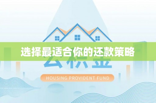 阜阳选择最适合你的还款策略